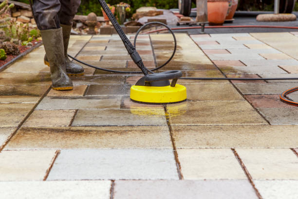 Best Dumpster Area Cleaning  in East Dubuque, IL