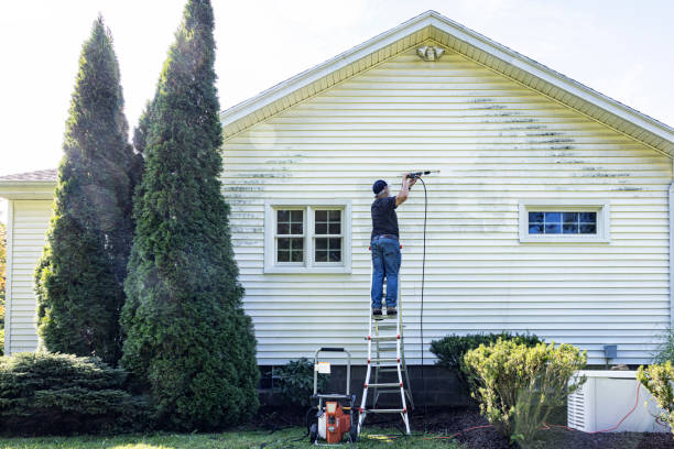 Best Gutter Cleaning  in East Dubuque, IL